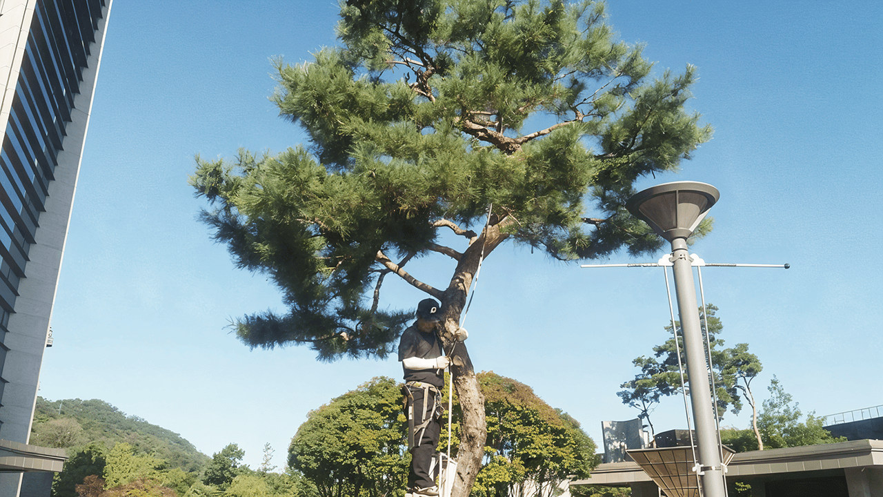 조경유지관리1